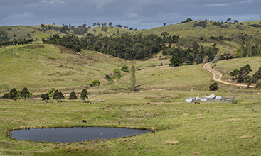 Farmland west of Bega, NSW.