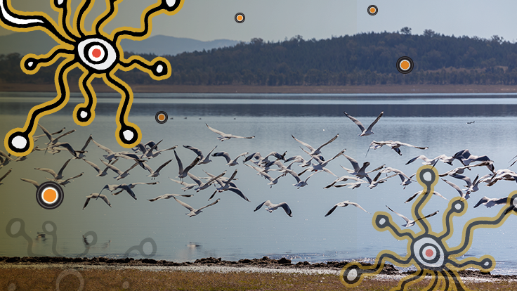 Flock of birds over lake