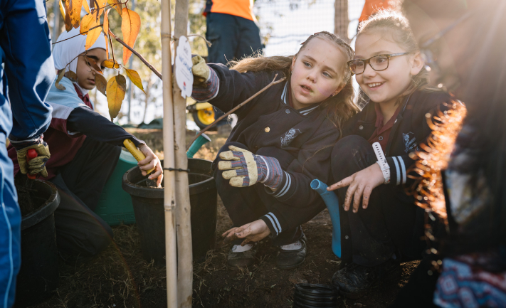 Three school girls in uniform plant a tree as part of a tree planting demonstration.