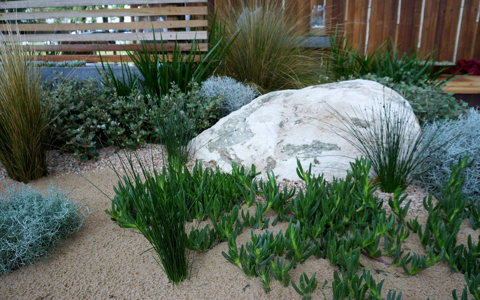 A rockery with green plants